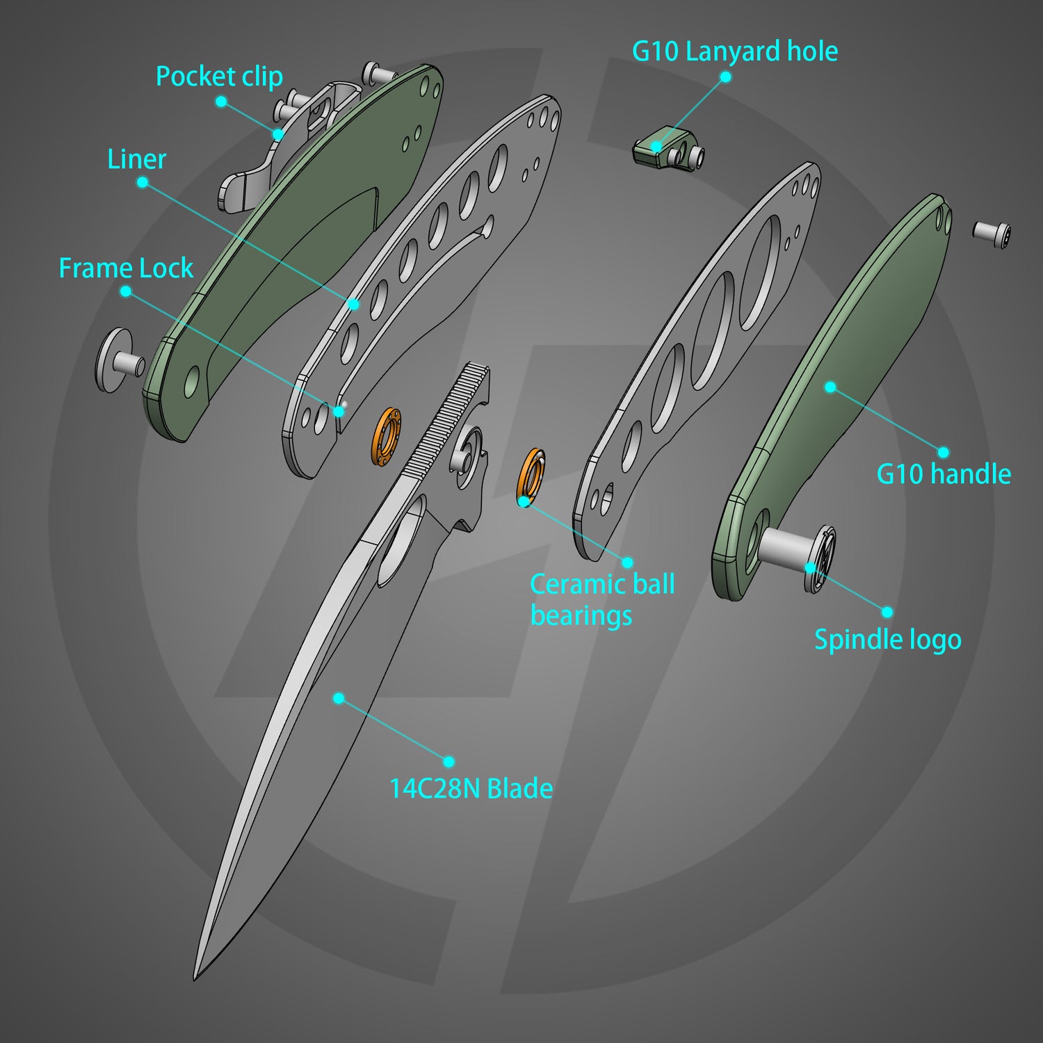 Side angle view – G064 Nature Green handle with satin finish blade