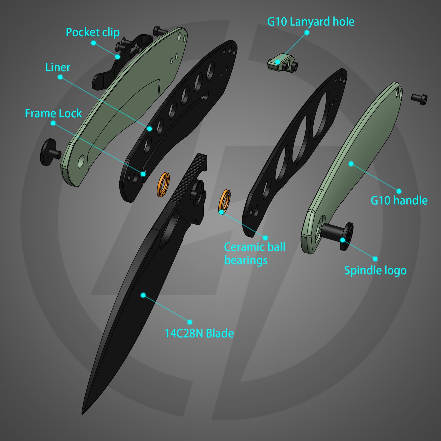 Angled side view of G064 – Nature Green handle with black blade